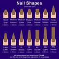 Chart displaying various press-on nail shapes and lengths, including oval, almond, coffin, stiletto, and square.
