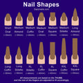 Chart displaying different press-on nail shapes and lengths including oval, almond, coffin, square, and stiletto.