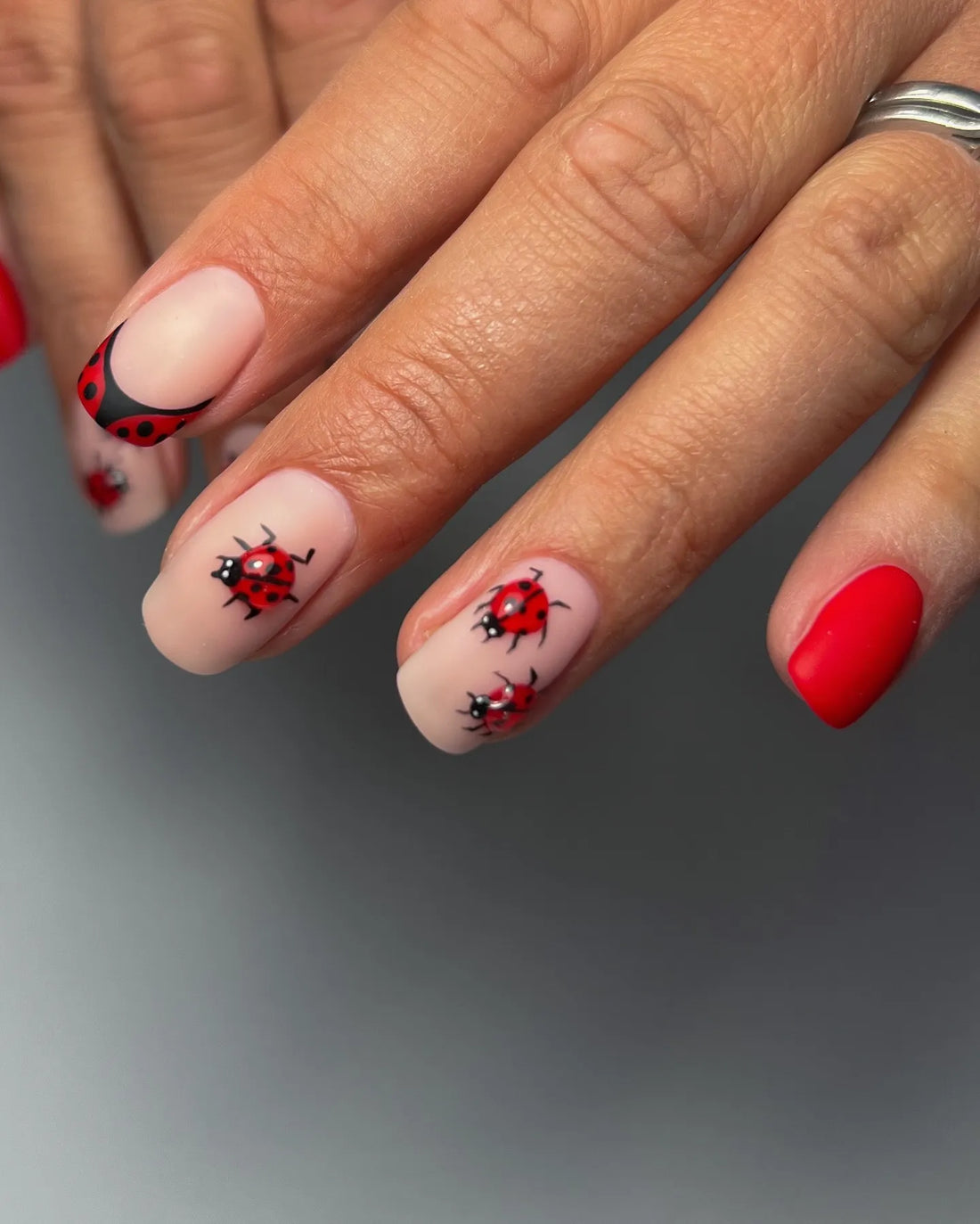 Hand with handmade red ladybug polka dot French tip press-on nails, nature nail art design